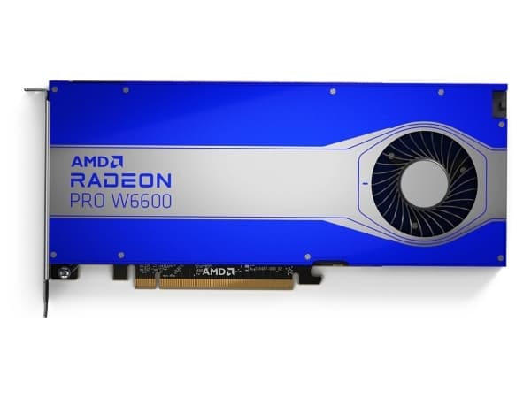 AMD Radeon ™ PRO W6600 - grafikkort - AMD Radeon ™ W6600 - 8 GB GDDR6 - PCIe 4.0 x16 - 4 x DisplayPort