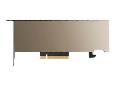 NVIDIA A2 - GPU-beregningsprosessor - A2 - 16 GB GDDR6 - PCIe 4.0 x8 lav profil - uten vifte