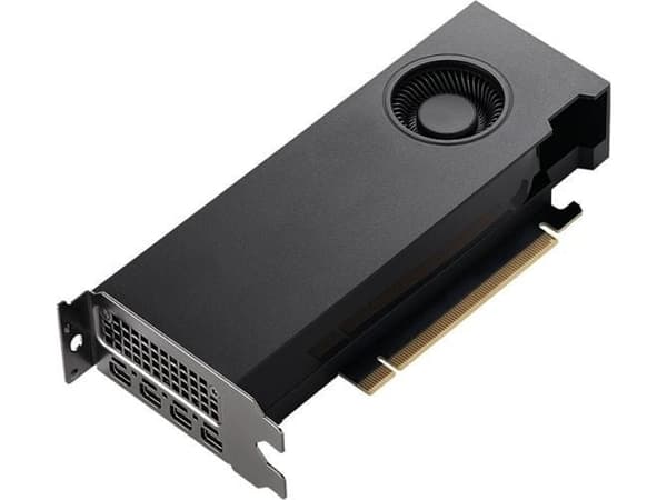 NVIDIA RTX A2000 - Grafikkort - RTX A2000 - 12 GB lavprofil