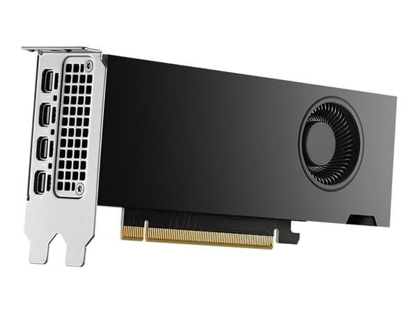NVIDIA - Grafikkkort - NVIDIA RTX 2000 Ada - 16 GB GDDR6 - PCIe 4.0 x8 - 4 x Mini DisplayPort