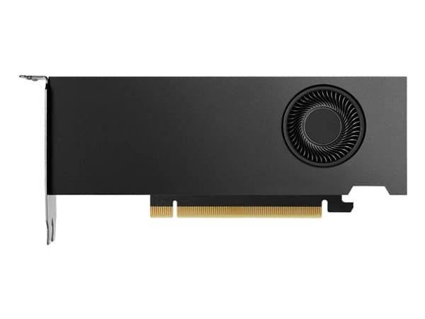 NVIDIA RTX 2000 Ada Generation - Näytönohjain - NVIDIA RTX 2000 Ada - 16GB GDDR6 - PCIe 4.0 x16 - 4 x Mini DisplayPort - vähittäismyyntipakkaus