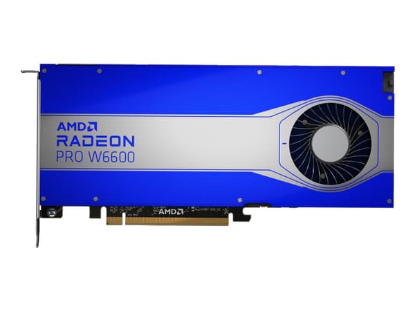 AMD Radeon Pro W6600 - Grafikkort - Radeon Pro W660 - 8 GB GDDR6 - 4 x DisplayPort - for Workstation Z2 G8, Z4 G5, Z6 G5, Z8 G5
