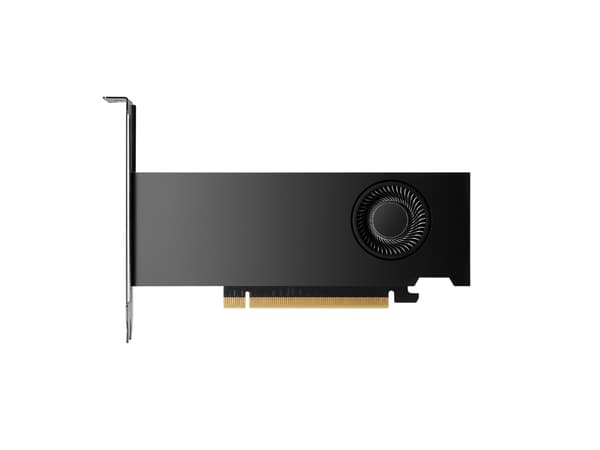 NVIDIA RTX 2000 Ada - Grafikkort - NVIDIA RTX 2000 Ada - 16 GB GDDR6 - 4 x Mini DisplayPort