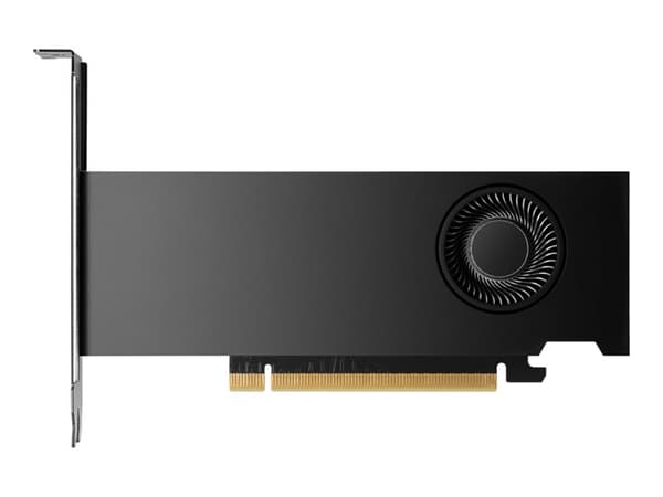 NVIDIA RTX 2000 Ada - Grafikkort - NVIDIA RTX 2000 Ada - 16 GB GDDR6 - 4 x Mini DisplayPort