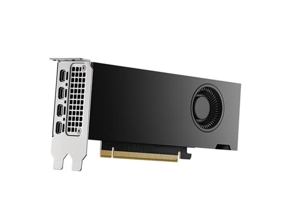 NVIDIA RTX 2000 Ada Generation - Grafikkort - 16 GB