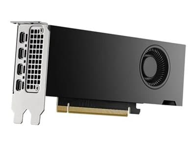 NVIDIA RTX 2000 Ada Generation - Grafikkort - 16 GB Sort