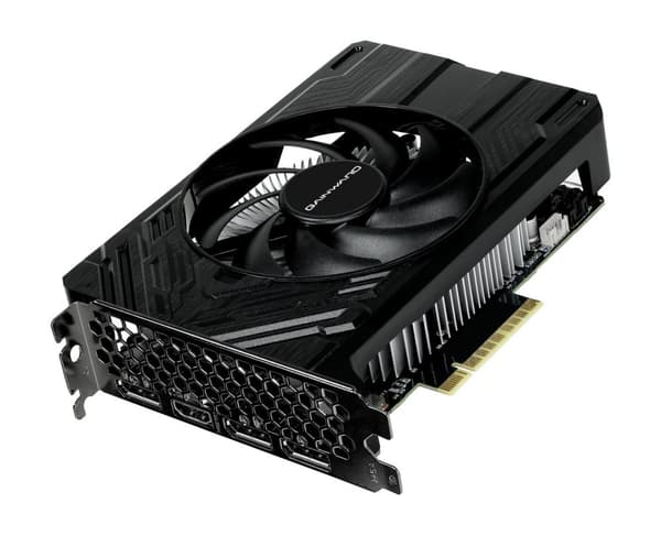 Gainward GeForce RTX 4060 Pegasus NVIDIA 8GB GDDR6