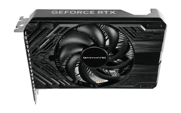 Gainward GeForce RTX 4060 Pegasus NVIDIA 8GB GDDR6