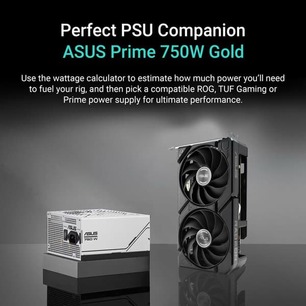 Grafikkort Asus 90YV0MI1-M0NA00 8 GB GDDR6