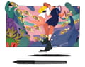 Pikkukuva 1 / 4: Digitaalinen grafiikkatabletti näyttö, 13,3 tuuman Full HD, 8192 tasoa kynän painetta, häikäisysuojateknologia