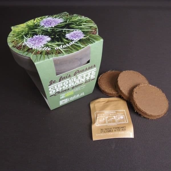Gräslök Terracotta Plant Kit - Maestro Gift