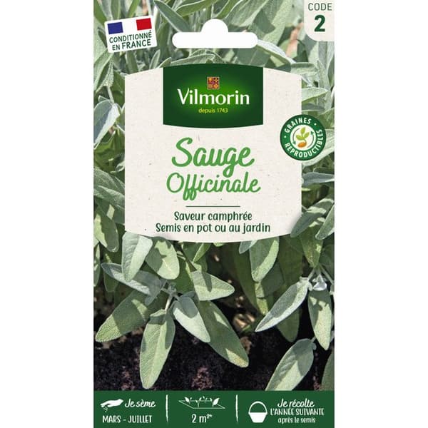 Påse med Officinale salviafrön - VILMORIN - Aromatisk - Vinter - Grönsaksträdgård och fruktträdgård