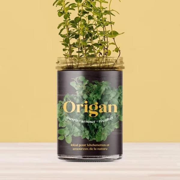 Resetea köksträdgård - Oregano