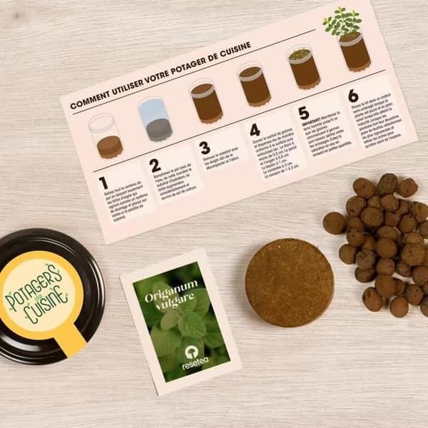 Resetea köksträdgård - Oregano