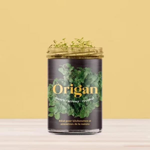 Resetea köksträdgård - Oregano