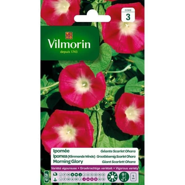 VILMORIN Ipomée Scarlet Ohara