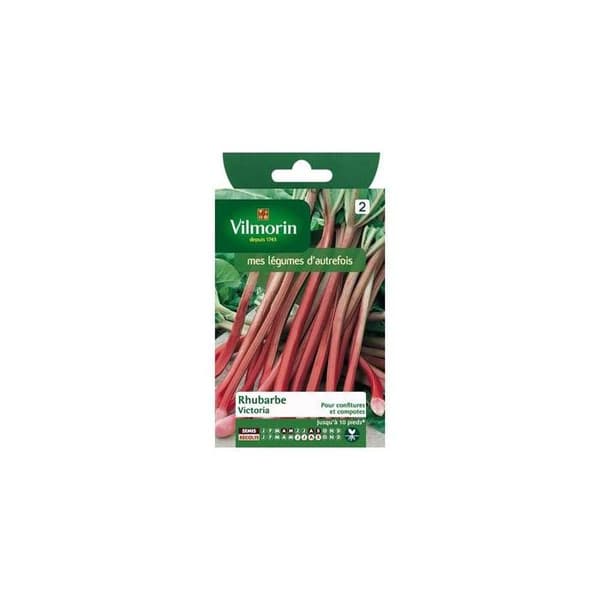VILMORIN Rabarber Victoria