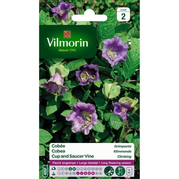 VILMORIN Klättringscobée