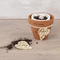 Miniatyrbild 3 av 4: Blomfröblandning för fjärilar