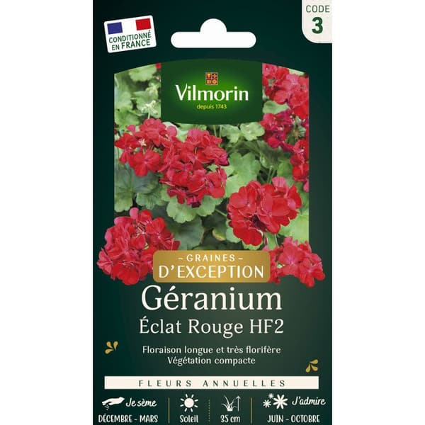 Pelargon VILMORIN frön - HF2 rödglans - Mycket blommande sort