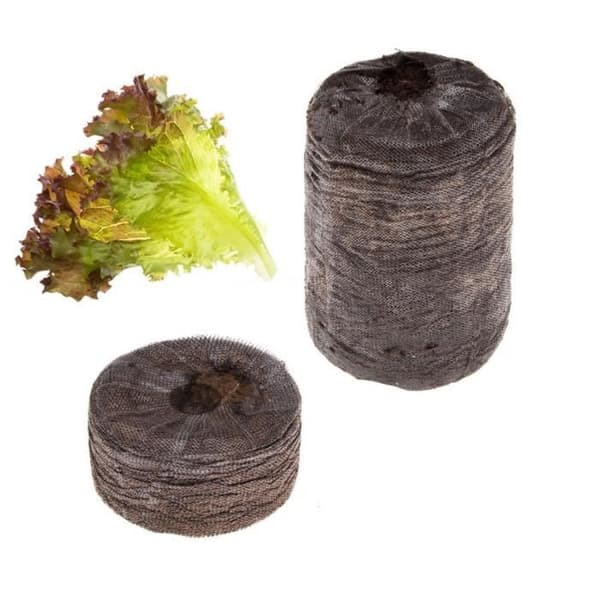 TREGREN Lollo Rossa kapselsats för grönsaksträdgård inomhus. 2 torvkapslar och Lollo Rossa frön.