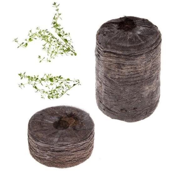 TREGREN kit med timjankapslar för grönsaksträdgårdar inomhus. 2 torvkapslar och timjanfrön.