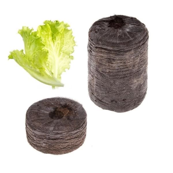 TRAGEN Kit 4 Mix Sallader: Ruccola, Lollo Rosso, Sallad och Romaine