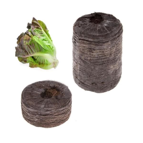 TRAGEN Kit 4 Mix Sallader: Ruccola, Lollo Rosso, Sallad och Romaine