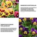Miniatyrbild 3 av 4: INN Butterfly Flower Seeds 1000 Blomsterfrön Blomningstid 6-8 månader Blomfrön Prydnadsblommor Blomfrö