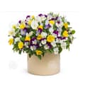 Miniatyrbild 1 av 4: INN Butterfly Flower Seeds 1000 Blomsterfrön Blomningstid 6-8 månader Blomfrön Prydnadsblommor Blomfrö