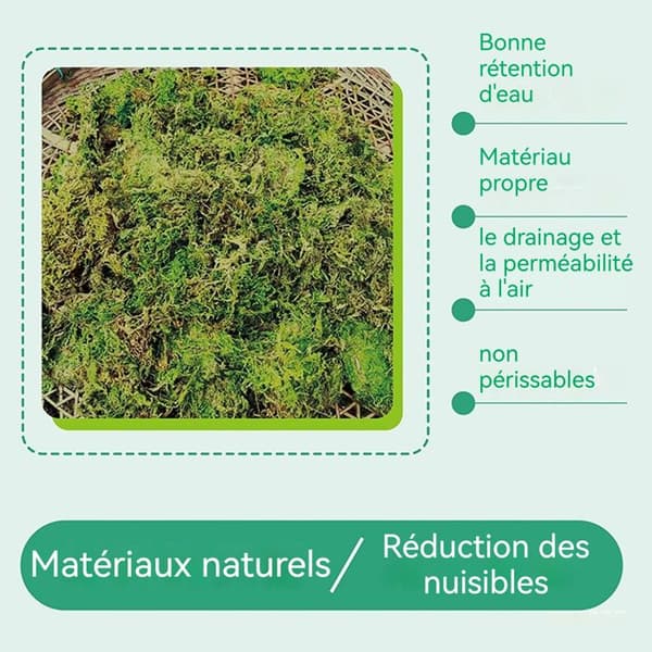 TD 12L Torr Sphagnummossa för plantering Fuktgivande mossa för växter och blommor Planteringsmaterial Trädgårdsarbete