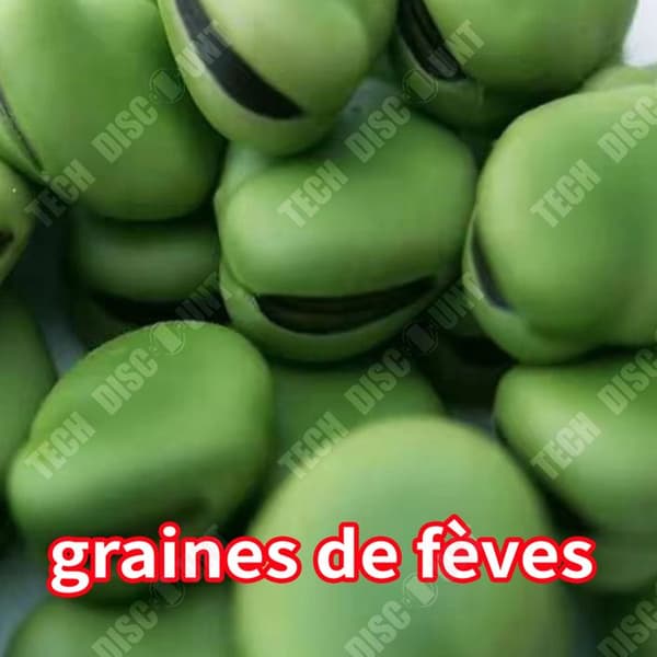 TD Rohypnol Bönfrön 250g Hardy Bean Frön Grönsaksfrön Kumminfrön Högavkastande sojabönfrön