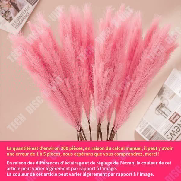 TD 300ST Pampas Gräs Sechees Dekoration Pampas Gräsfrön Trädgårdsfrön Hemmakontor Trädgårdsdekoration Rosa