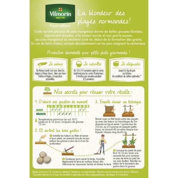 Graint - Vilmorin - Sockerärtor Mangetout Normand - 20 m