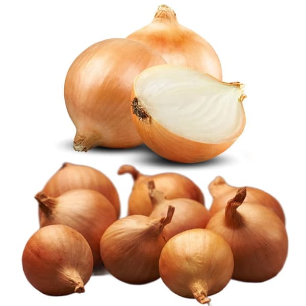 Forårsløg og skalotteløg Golden Gourmet 10 kg
