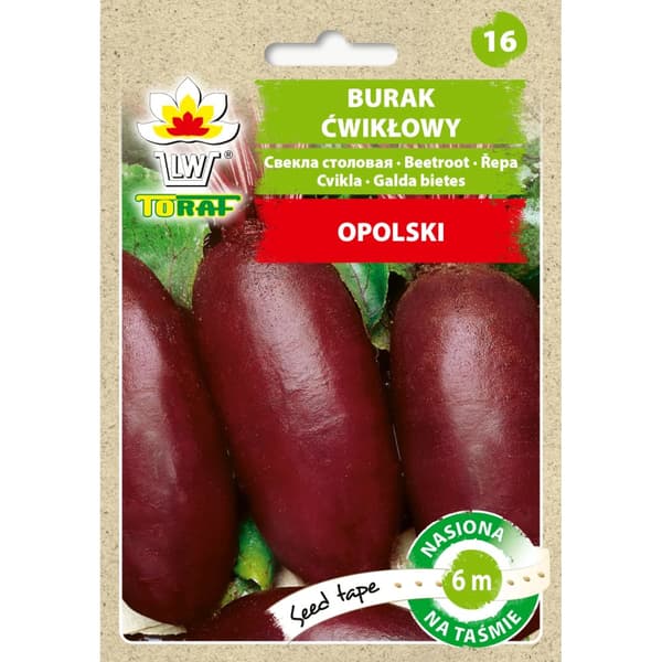 Rødbede aflang OPOLSKI (6m tape)