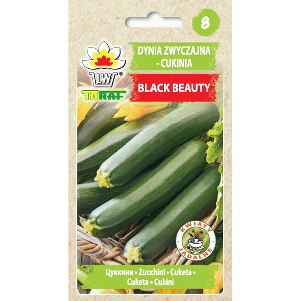 Zucchini BLACK BEAUTY 5g