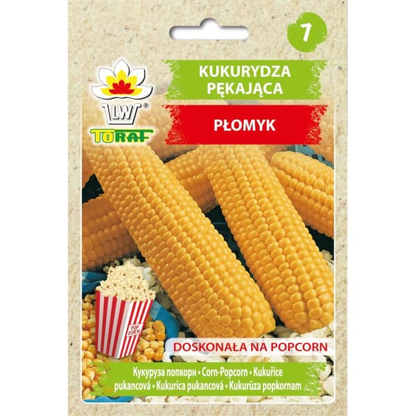 PŁOMYK maissirouhetta 20g