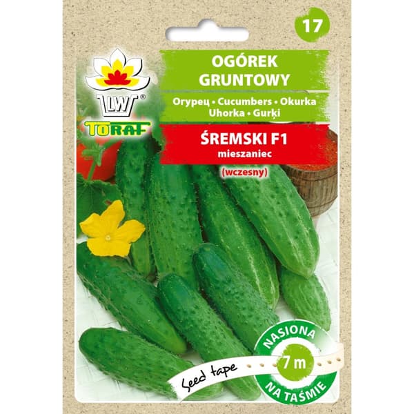 Peltokurkku ŚREMSKI F1 (7 m teippi)