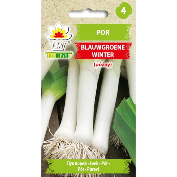 Porre BLAUWGRØNNE VINTER 1g
