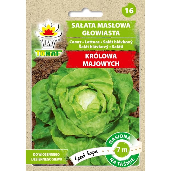 Smørhovedsalat MAJS DRONNING (7m tape)