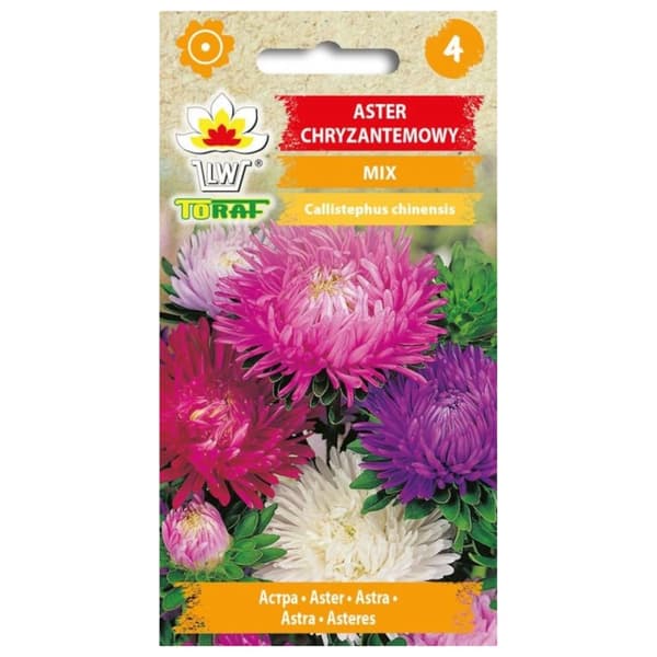 Krysantemum aster MIX 1g
