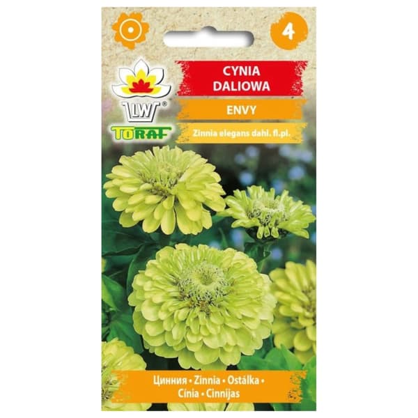 Zinnia dahlia ENVY 1g