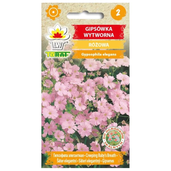 Gypsophila elegant PINK 1g