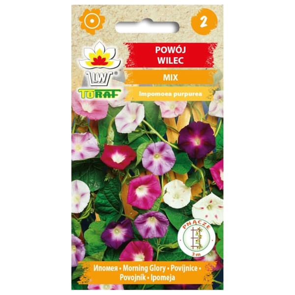 Morning glory MIX 3g