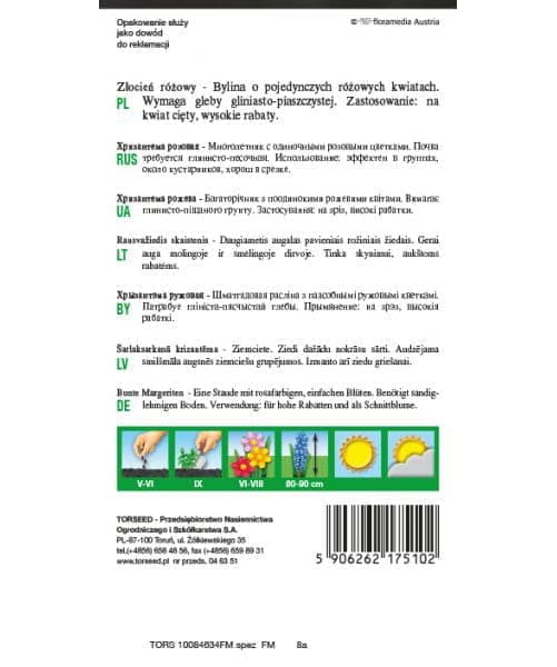 Krysantemum Rosea Frön 0,5 g