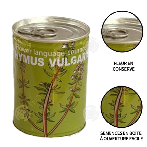 INN Seeds Timjan Frölådor Creative Mini krukväxter Burk frön 9x6,5 cm Bur Boxed Plant Plant Kit
