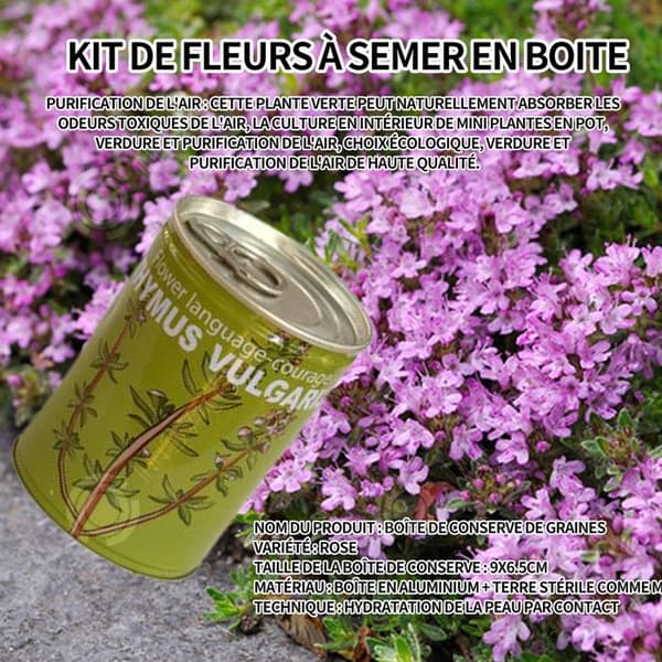 INN Seeds Timjan Frölådor Creative Mini krukväxter Burk frön 9x6,5 cm Bur Boxed Plant Plant Kit