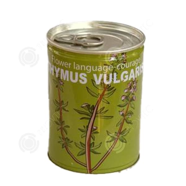 INN Seeds Timjan Frölådor Creative Mini krukväxter Burk frön 9x6,5 cm Bur Boxed Plant Plant Kit