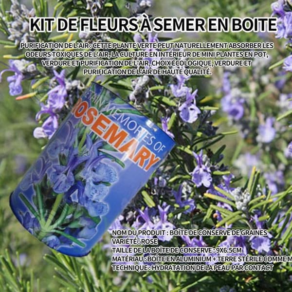 INN Rosemary Seeds Kreativa frölådor Minikrukväxter Burkfrön 9x6,5 cm Bordsförpackade fröplantor Ornament